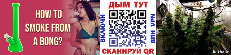 Каннабис сатива  Южно-Сахалинск 